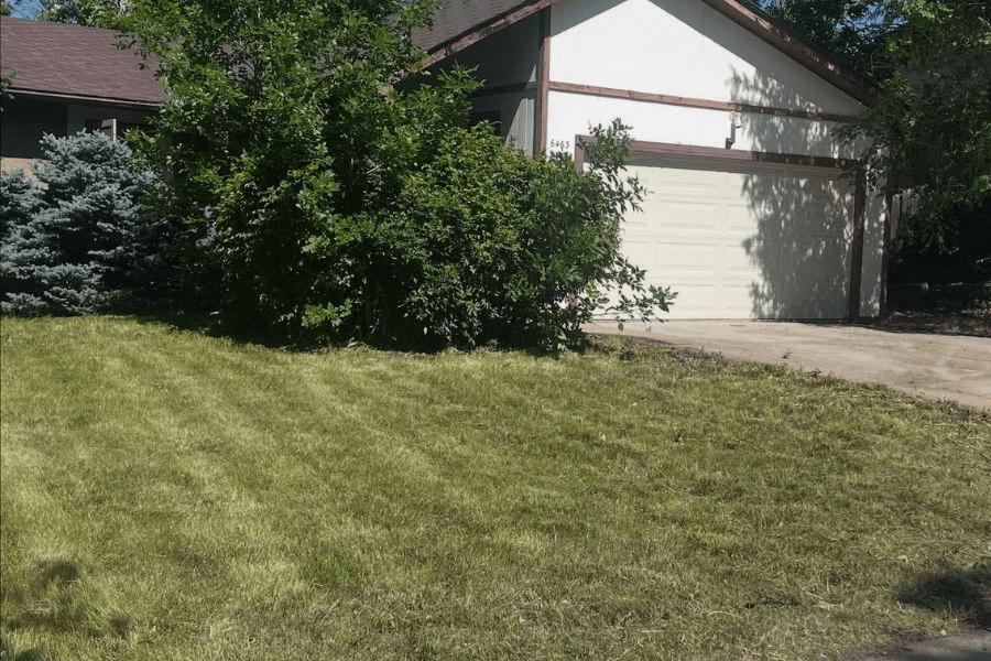 Red Rose Lawn Care project